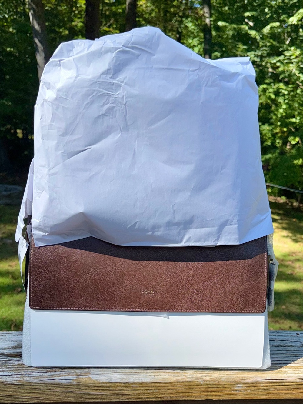 Authentic Coach Chelsea maple 36